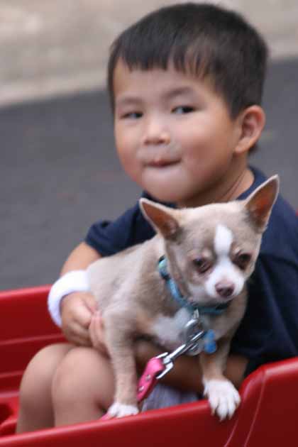 07-04-13 A Boy and his Dog.jpg